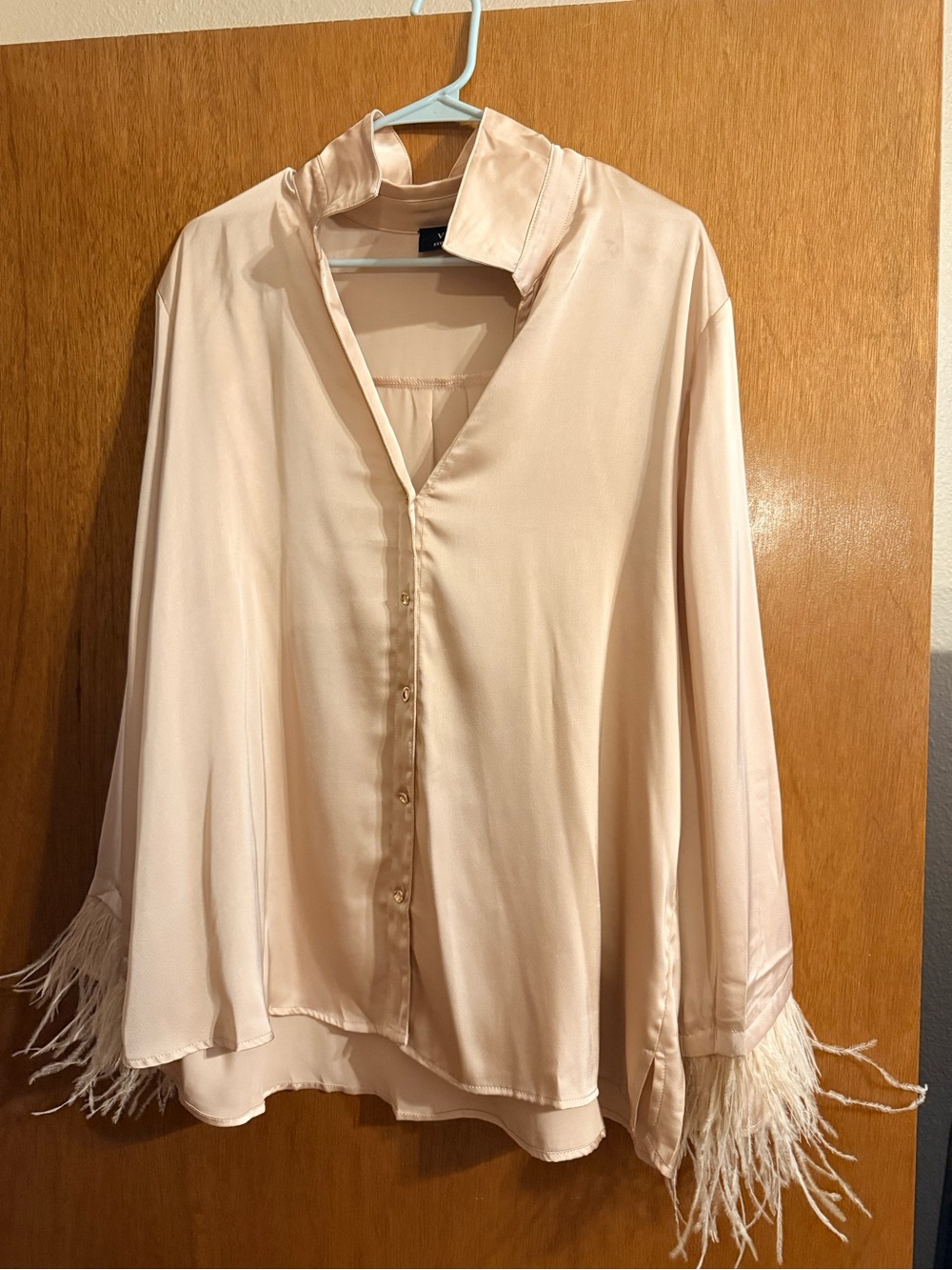 Vici Feather-Trim Satin Blouse